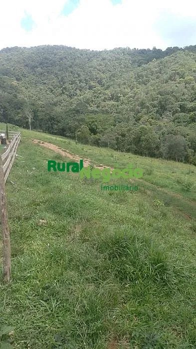 SÍTIO FORMADO COM CASA NOVA À VENDA EM LIBERDADE/MG - Foto 2