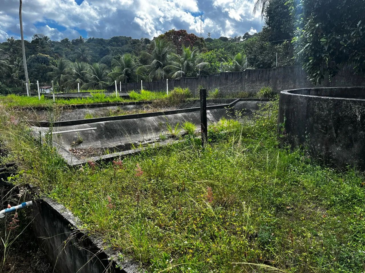Sítio com nascente em Goiana-PE - Foto 4