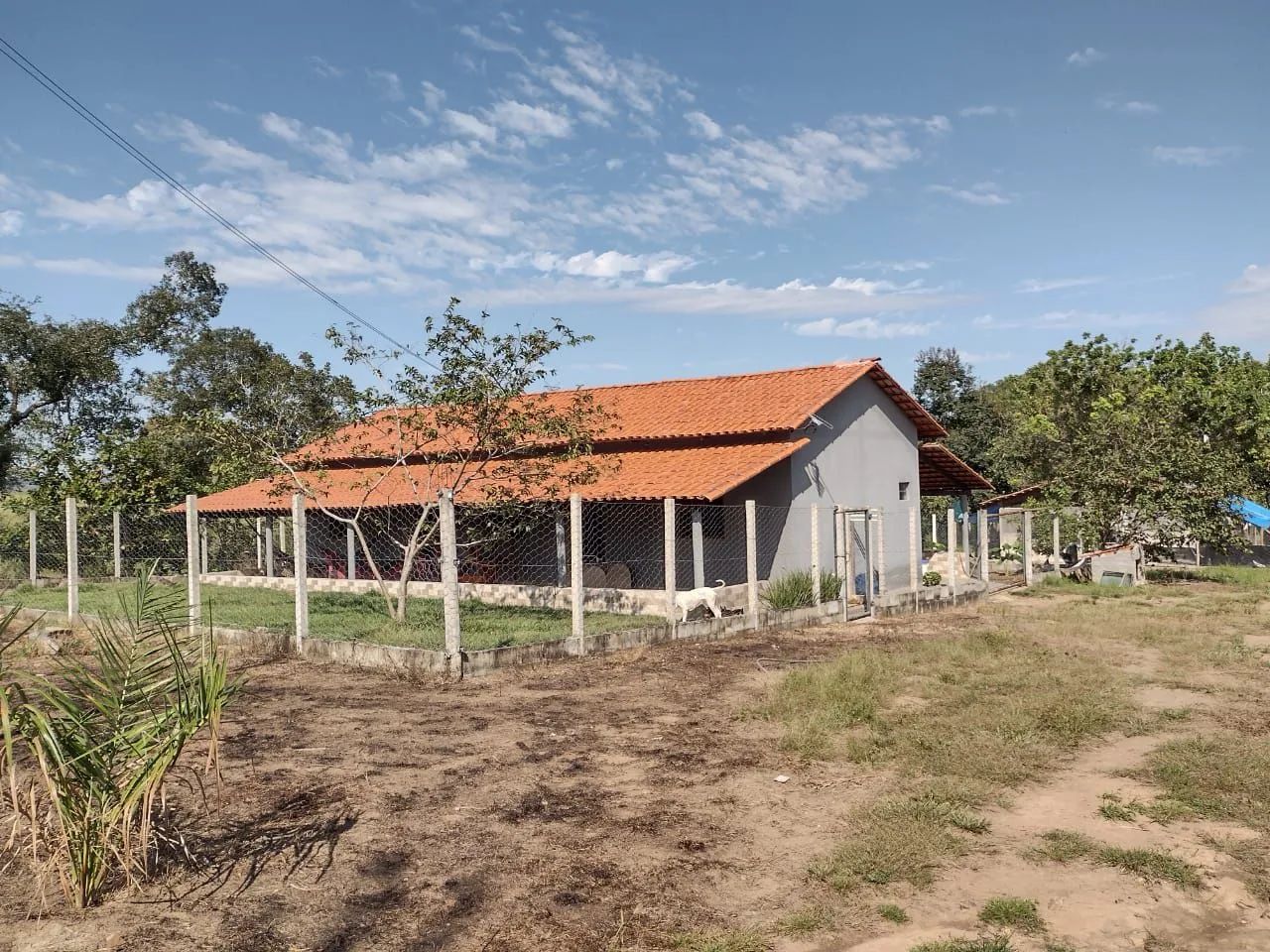Venda Chácara Sítio Zona rural TO
