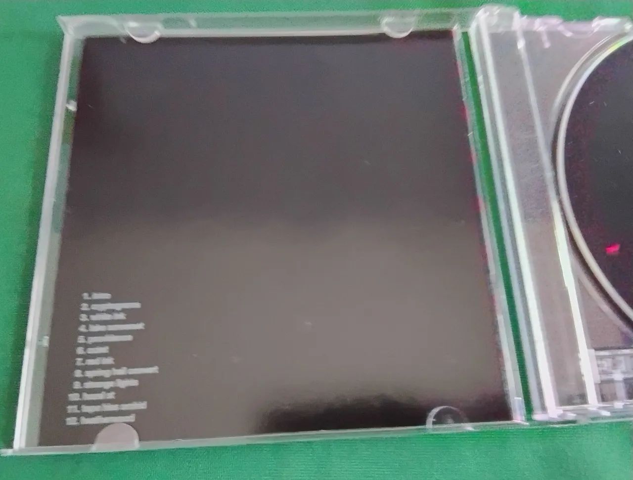 Deerhunter - Cryptograms - Foto 4