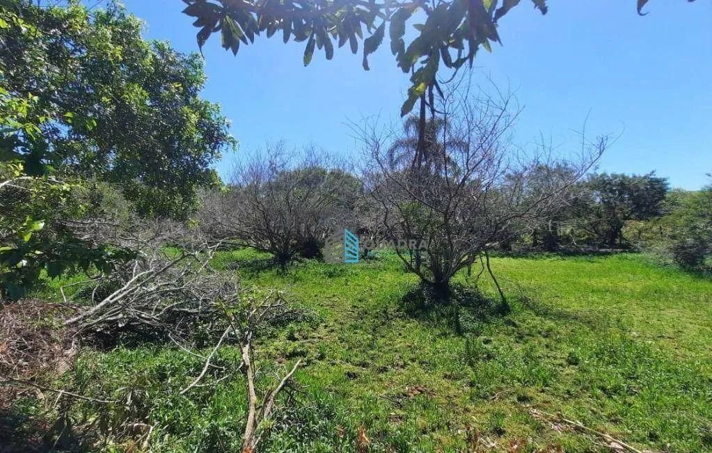 Terreno à Venda nos Açores Florianópolis !! - Foto 4