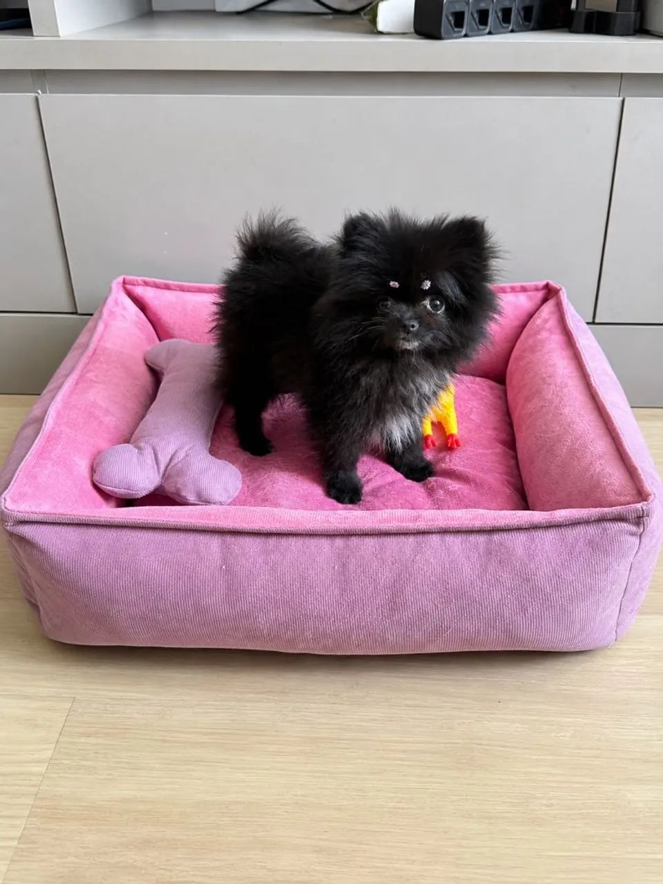 Cama Pet Premium  - Foto 3