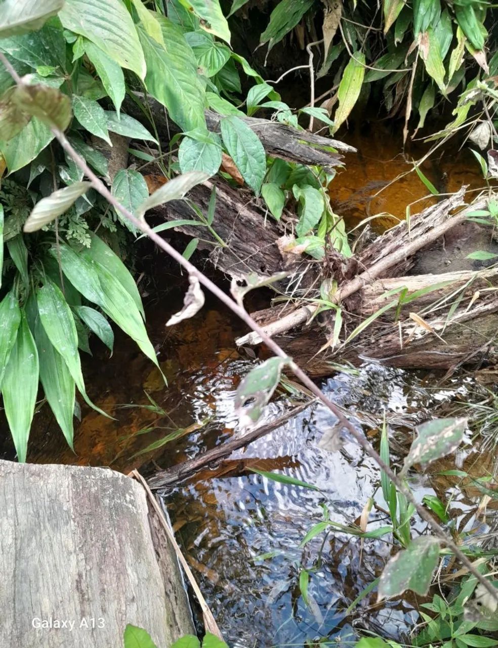 Terreno em Presidente Figueiredo  - Foto 2