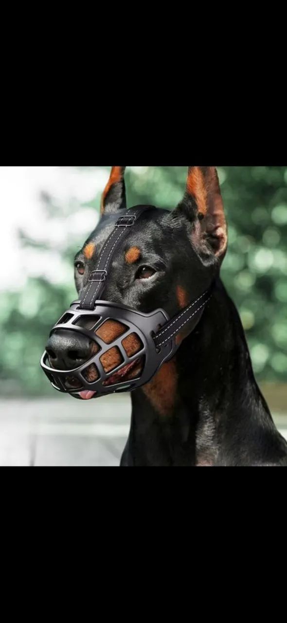 Focinheira  - Foto 5