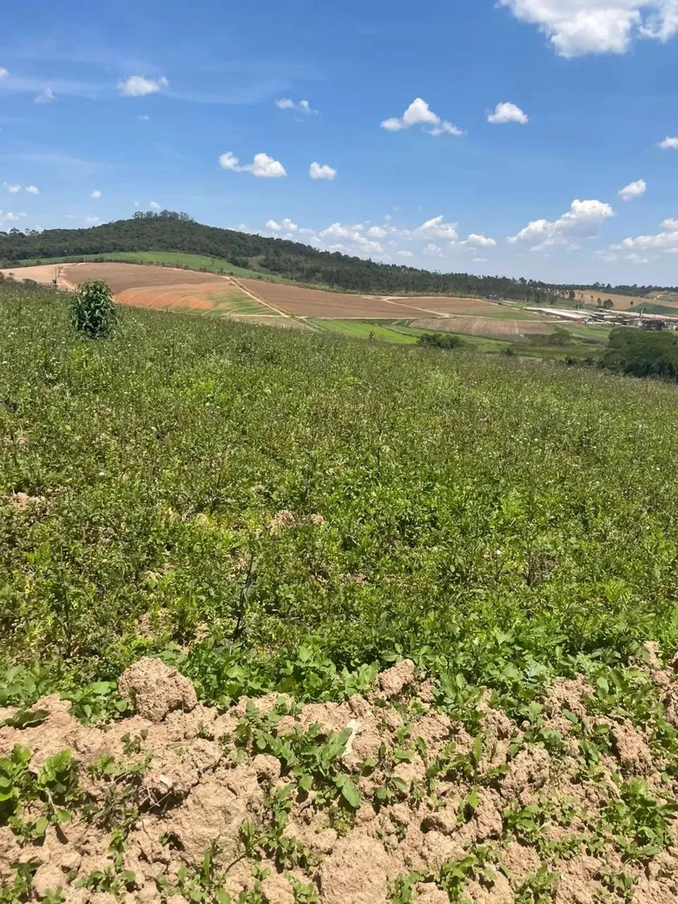 Imóvel para venda com 500 metros quadrados em Recreio Topázio (Caucaia do Alto) - Cotia -  - Foto 7