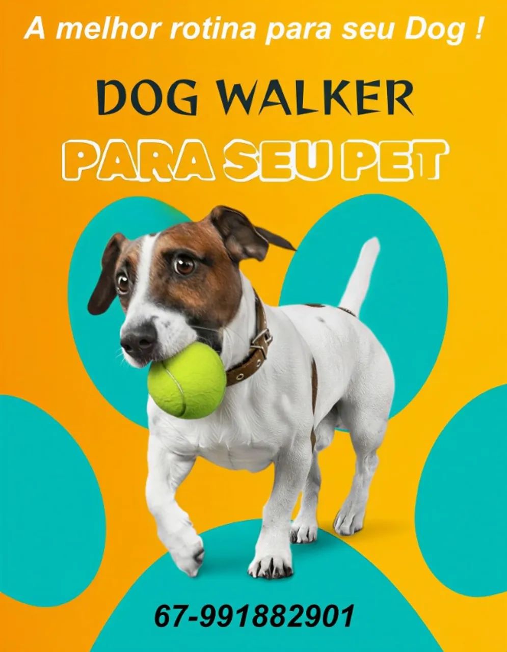 Dog Walker para seu Pet !