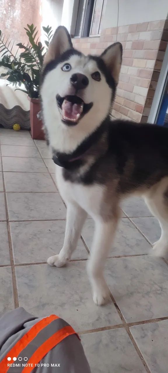 Vendo - Foto 4