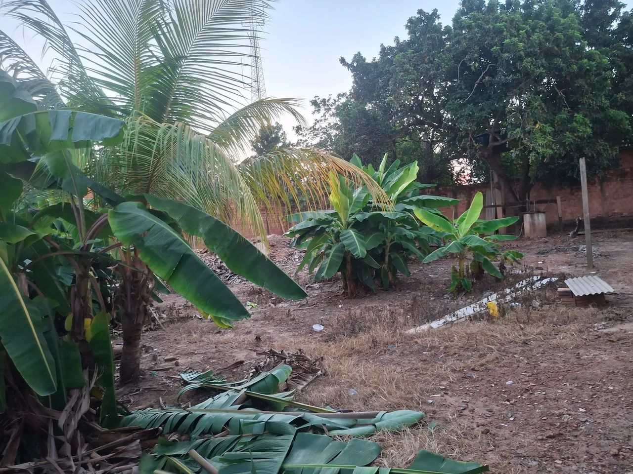 Vendo 3 terrenos com 1 pavilhão de apartamentos. - Foto 4