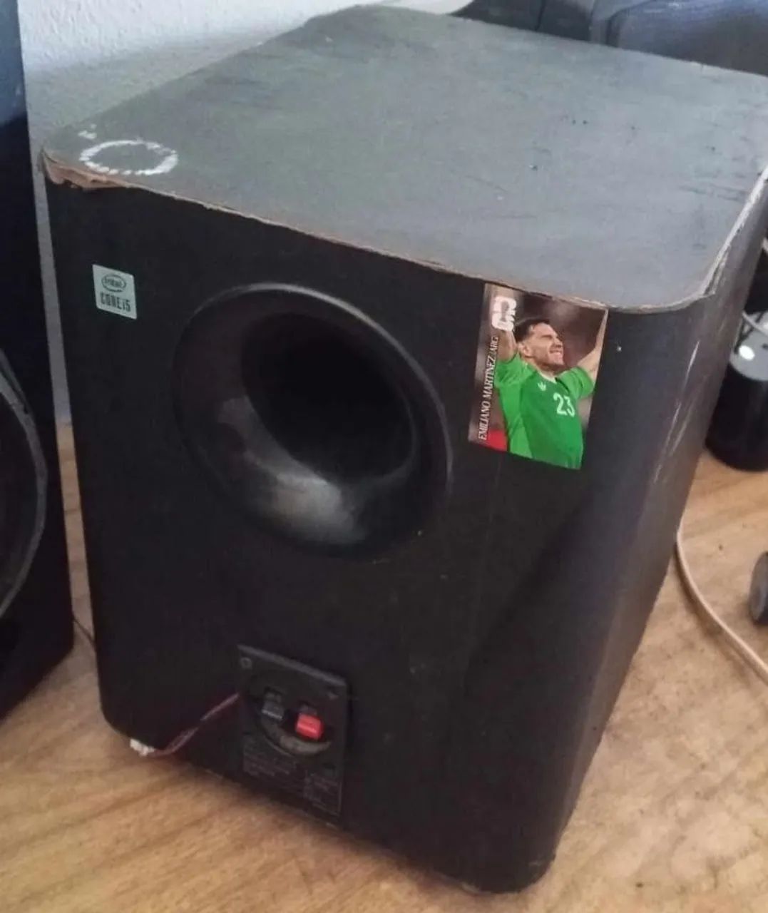 Subwoofer 