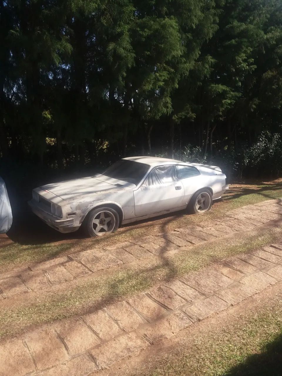 Puma AMV 4.1 Coupe 6 Cilindros 12V Gasolina 2P Manual 1989