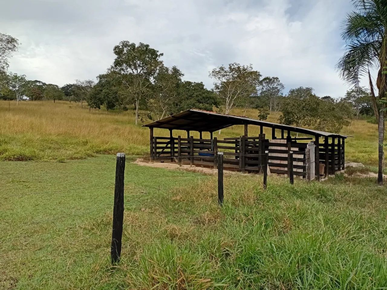 Chácara em cocalzinho de Goiás  - Foto 3