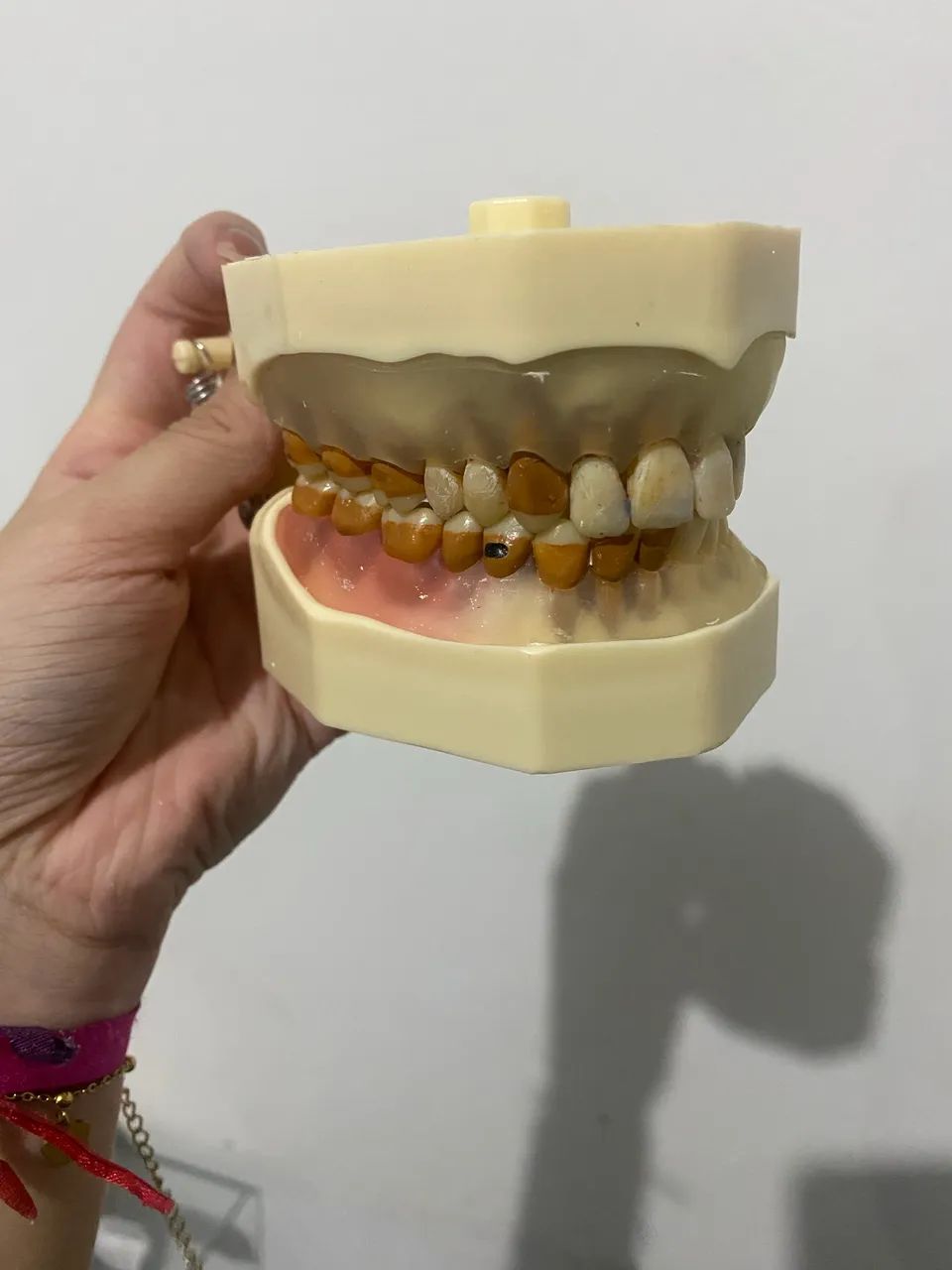 Manequim Dentistica e Periodontia- Orais  - Foto 2