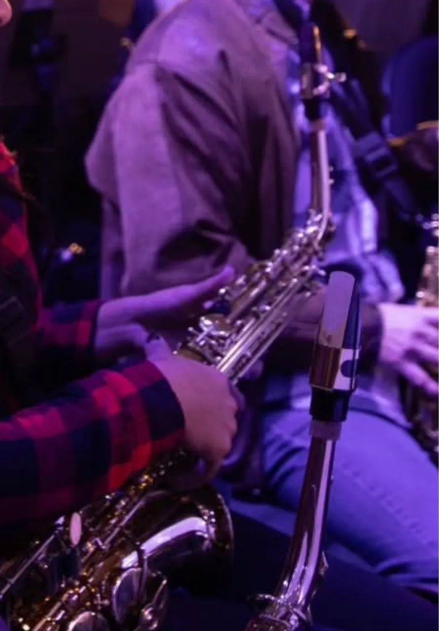 Saxofone alto  - Foto 3