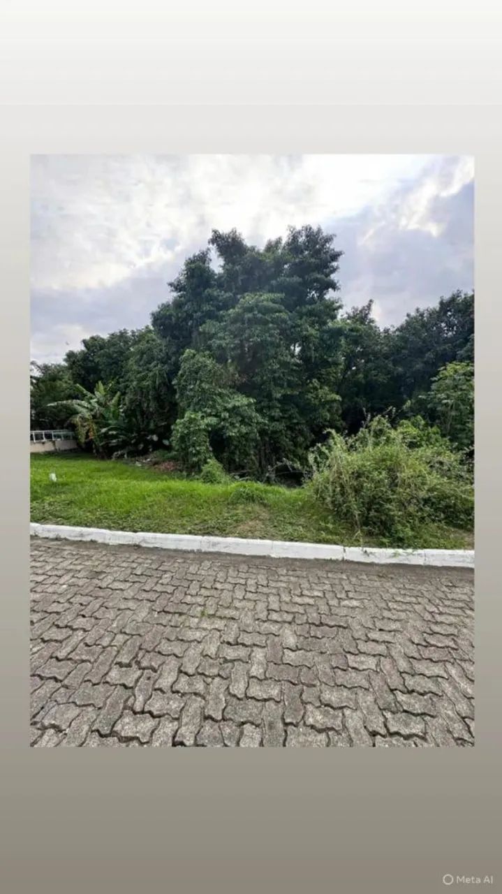 TERRENO CONDOMÍNIO BUGANVÍLLIA  - Foto 5