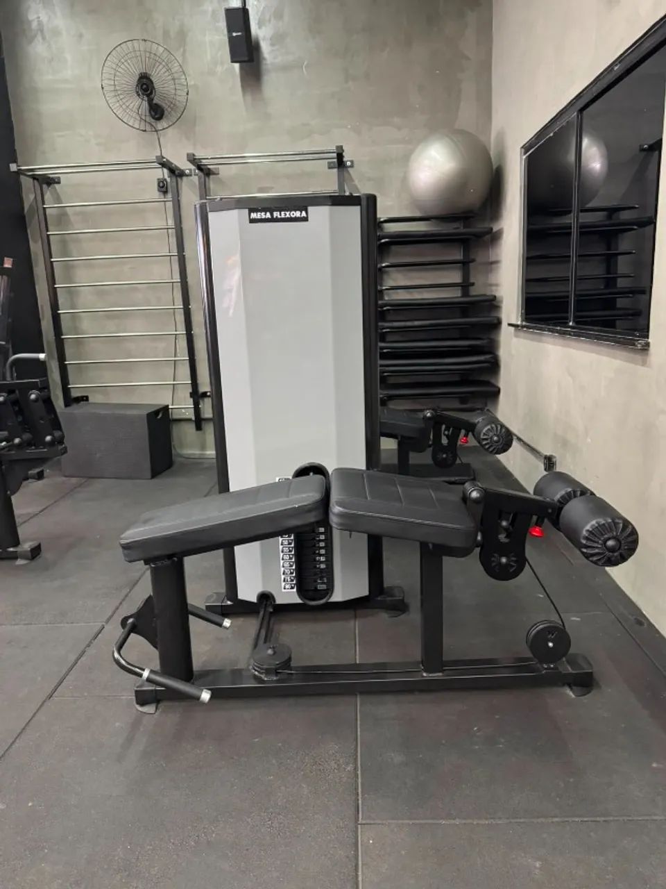 Mesa Flexora