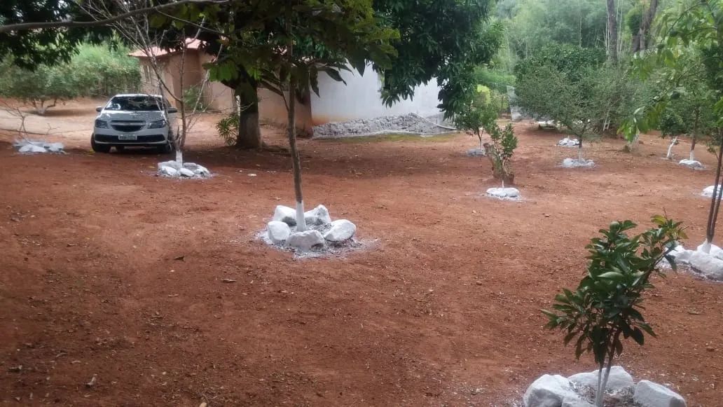 SÍTIO EM COROAS - Foto 3
