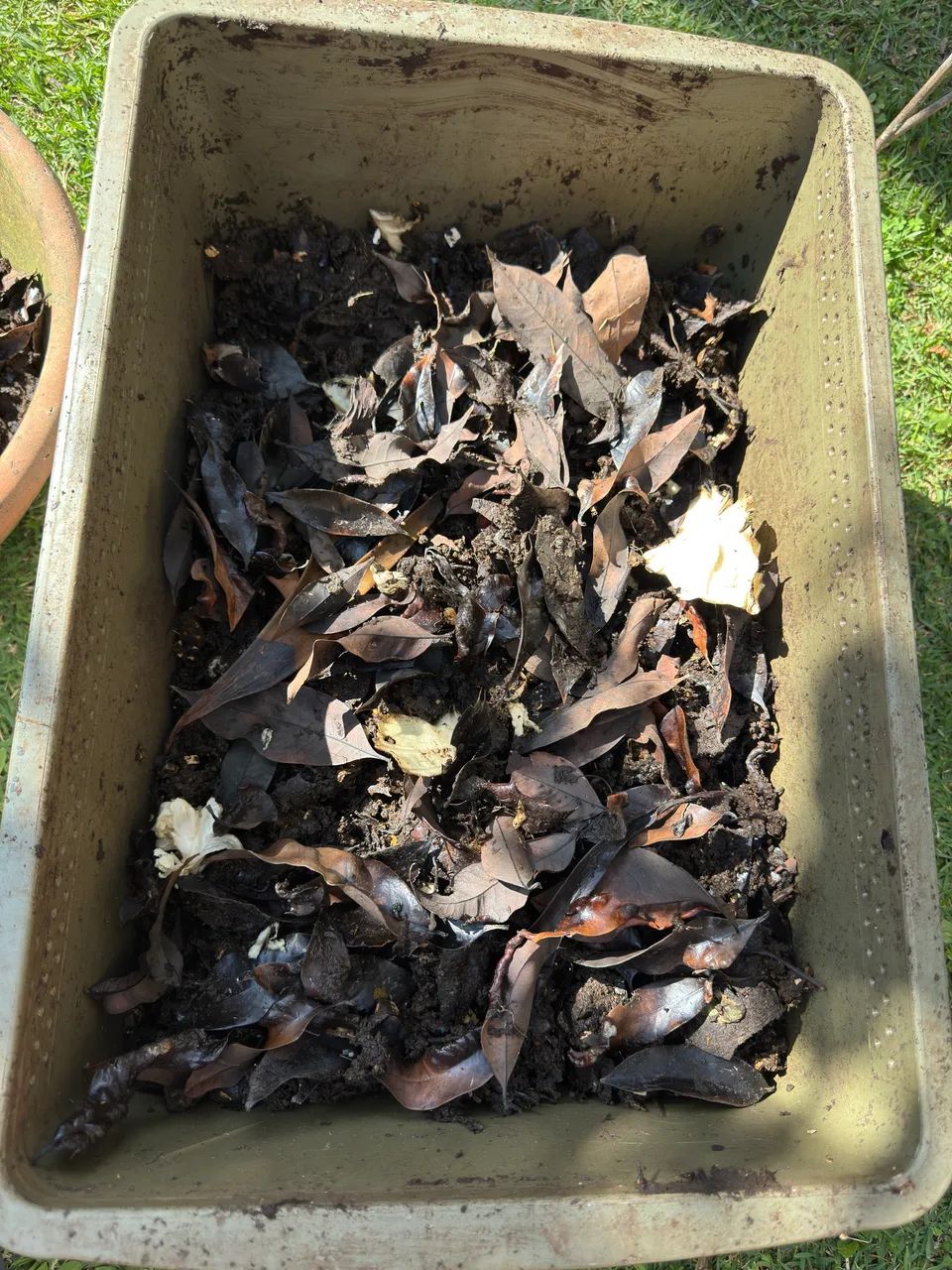 Adubo Compostagem  - Foto 3