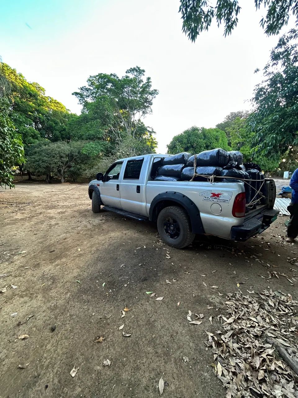 Silagem de milho a granel ou ensacado  - Foto 2