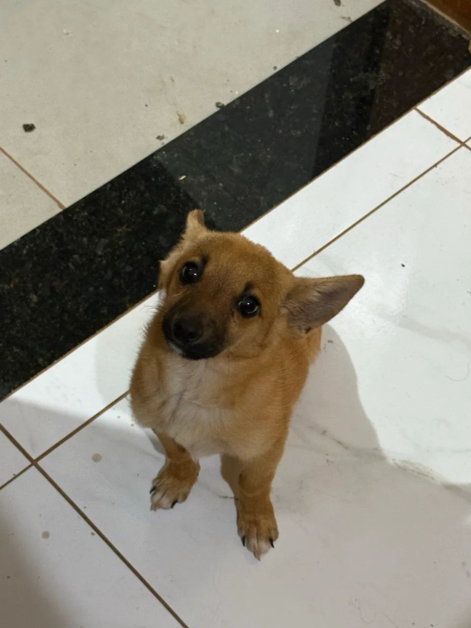 Doação responsável !