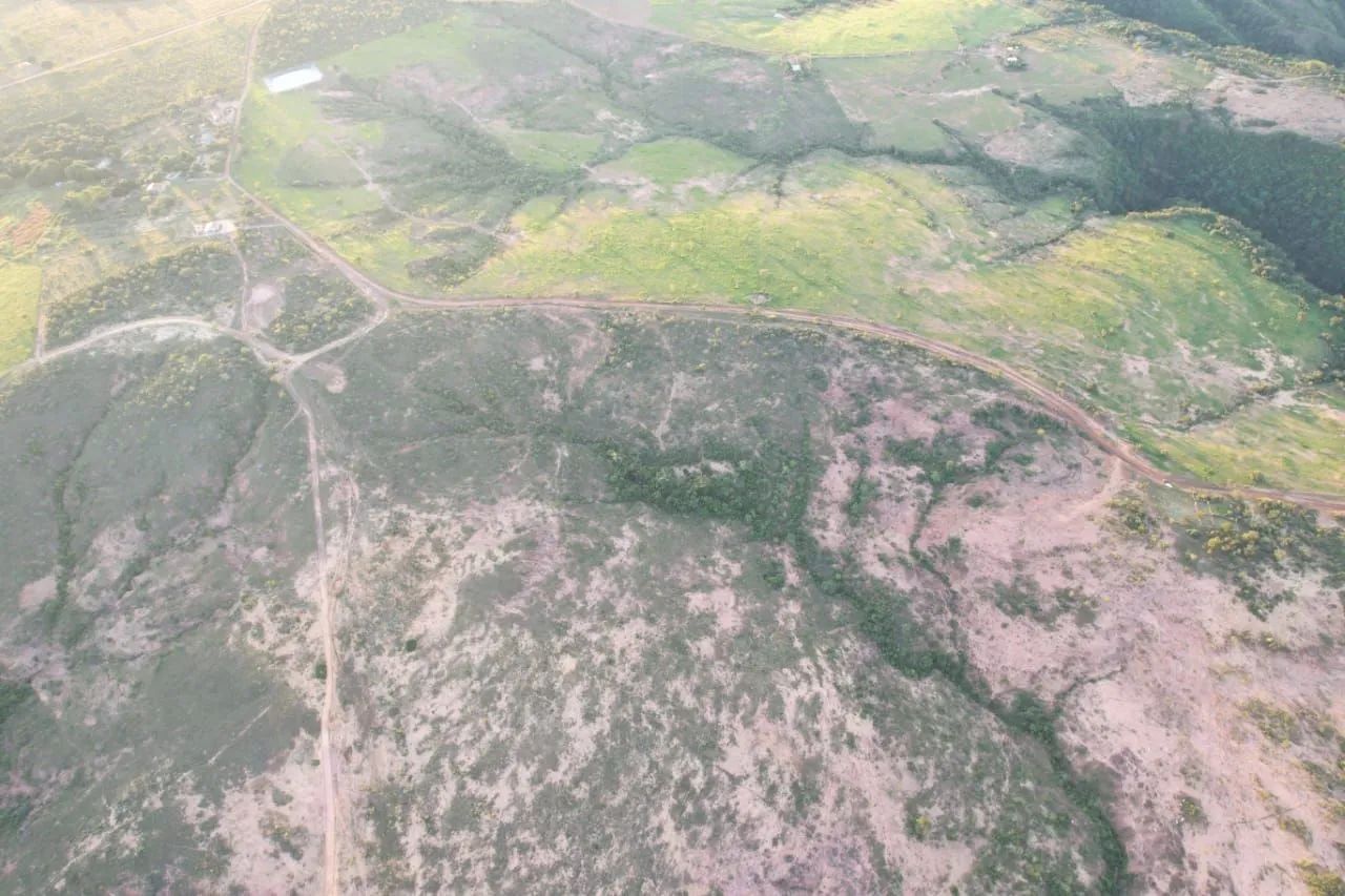 Foto - Goiânia - Solange Parque I
