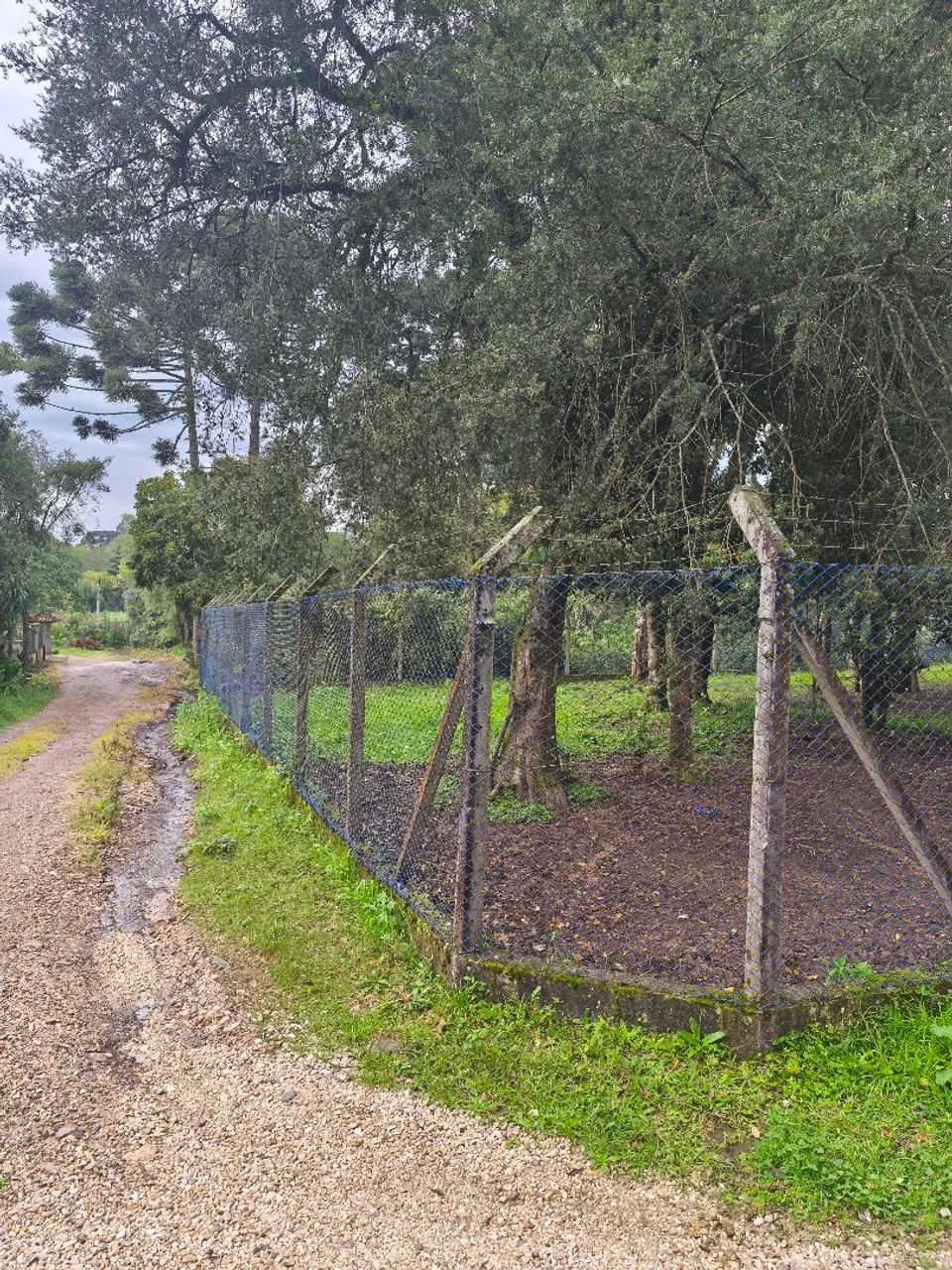 Terreno de 824m - Foto 4