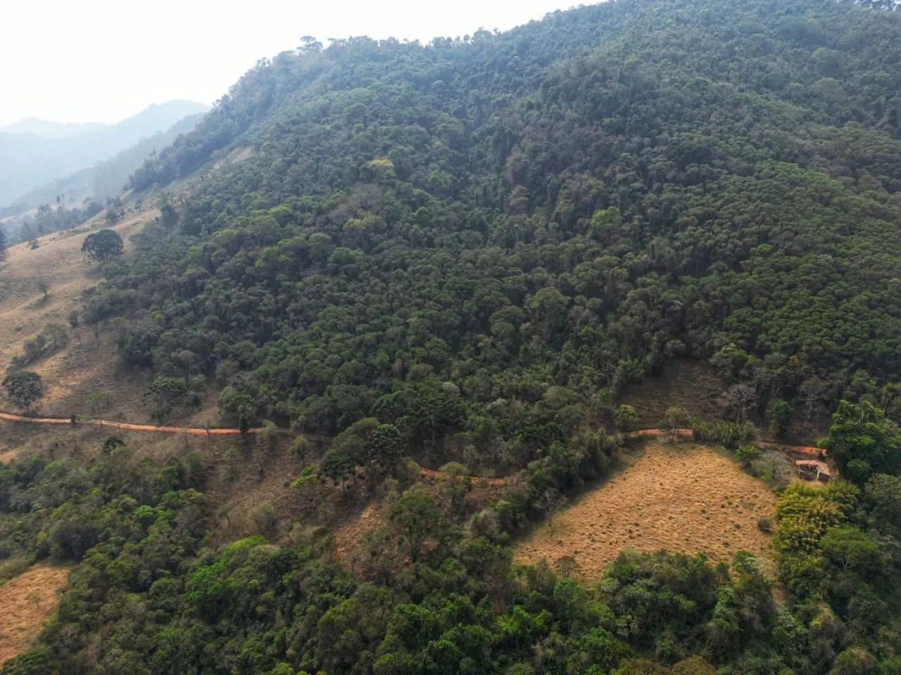 Terreno, 4 alqueires. - Foto 3
