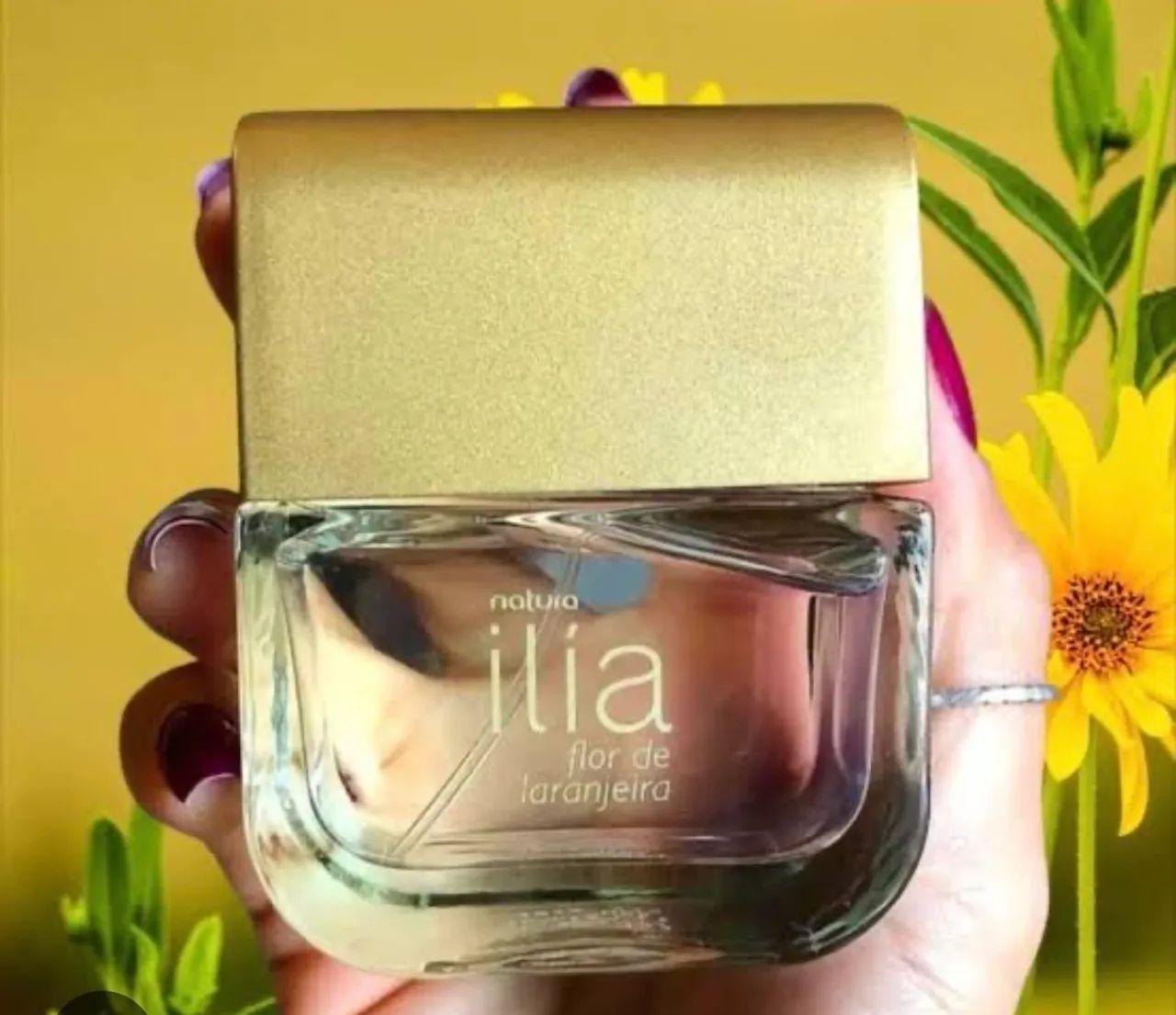 Ilia flor de laranjeira  - Foto 2