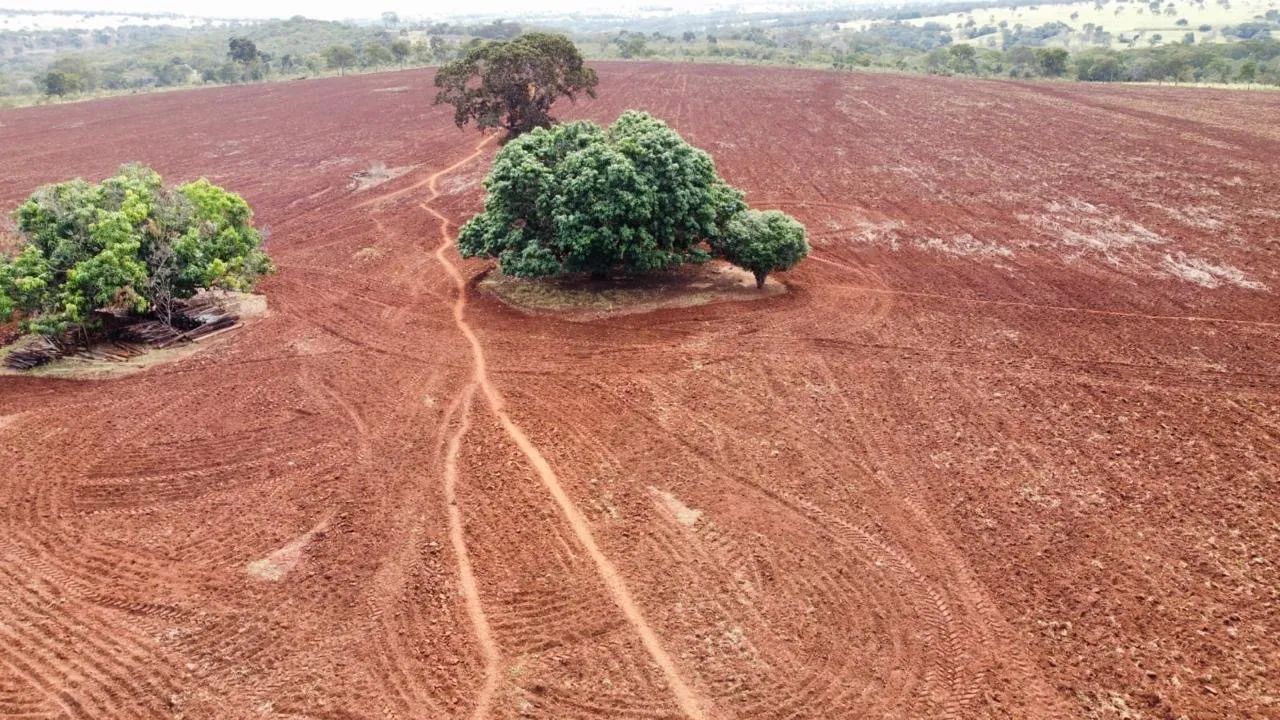 Fazenda com 80% aproveitamento lavoura  - Foto 5