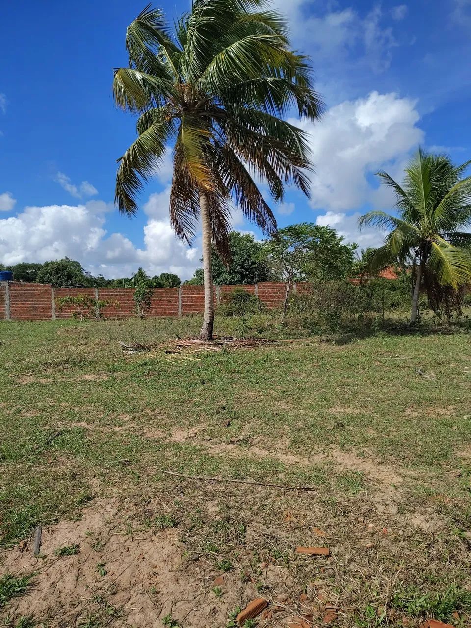 Lotes 10x20 - Foto 3