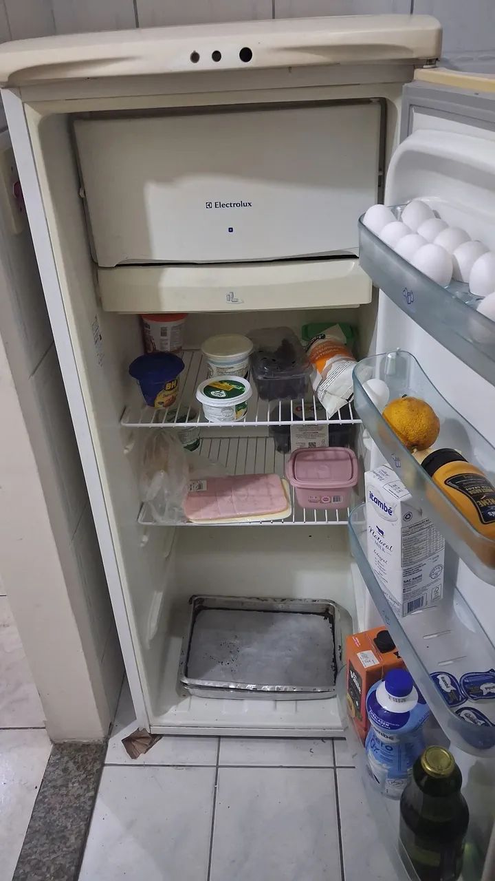 Electrolux R250  - Foto 5