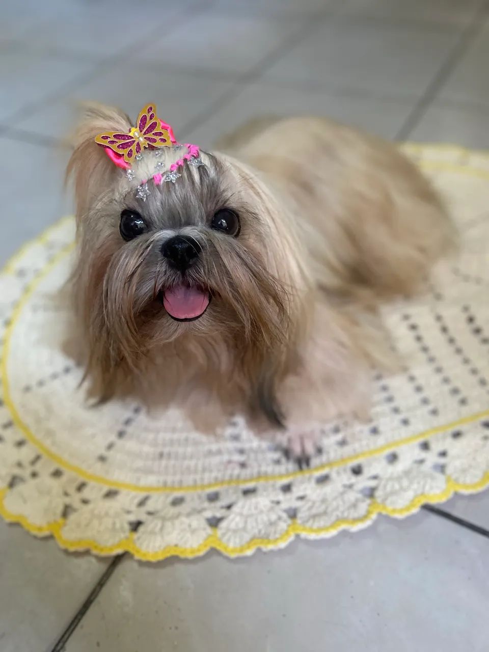 Doação responsável  - Foto 2