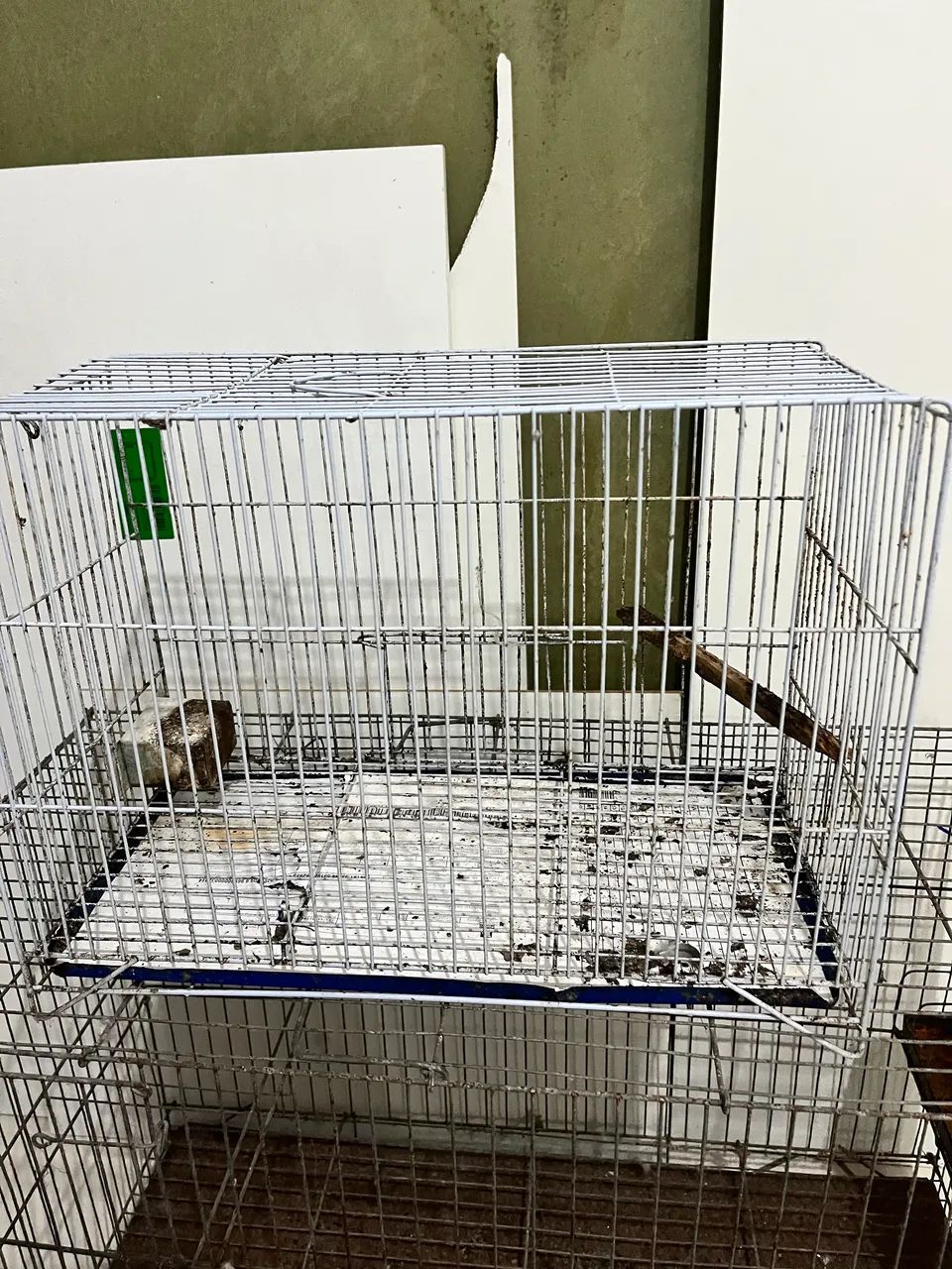 2 viveiro para aves  - Foto 3