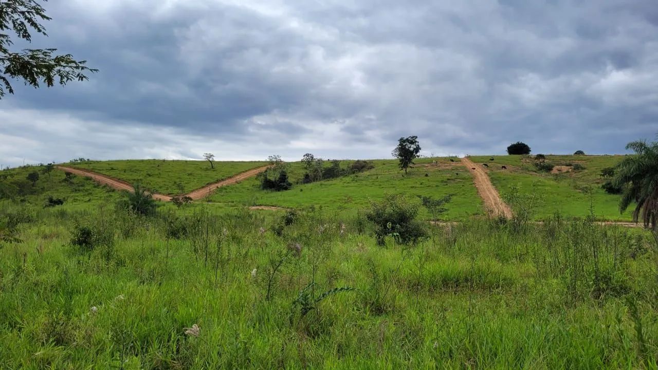 Lote - Foto 2