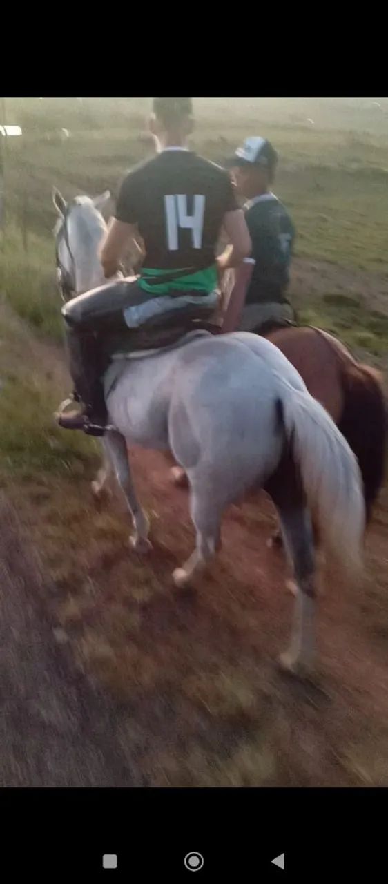 Égua de direita  - Foto 4