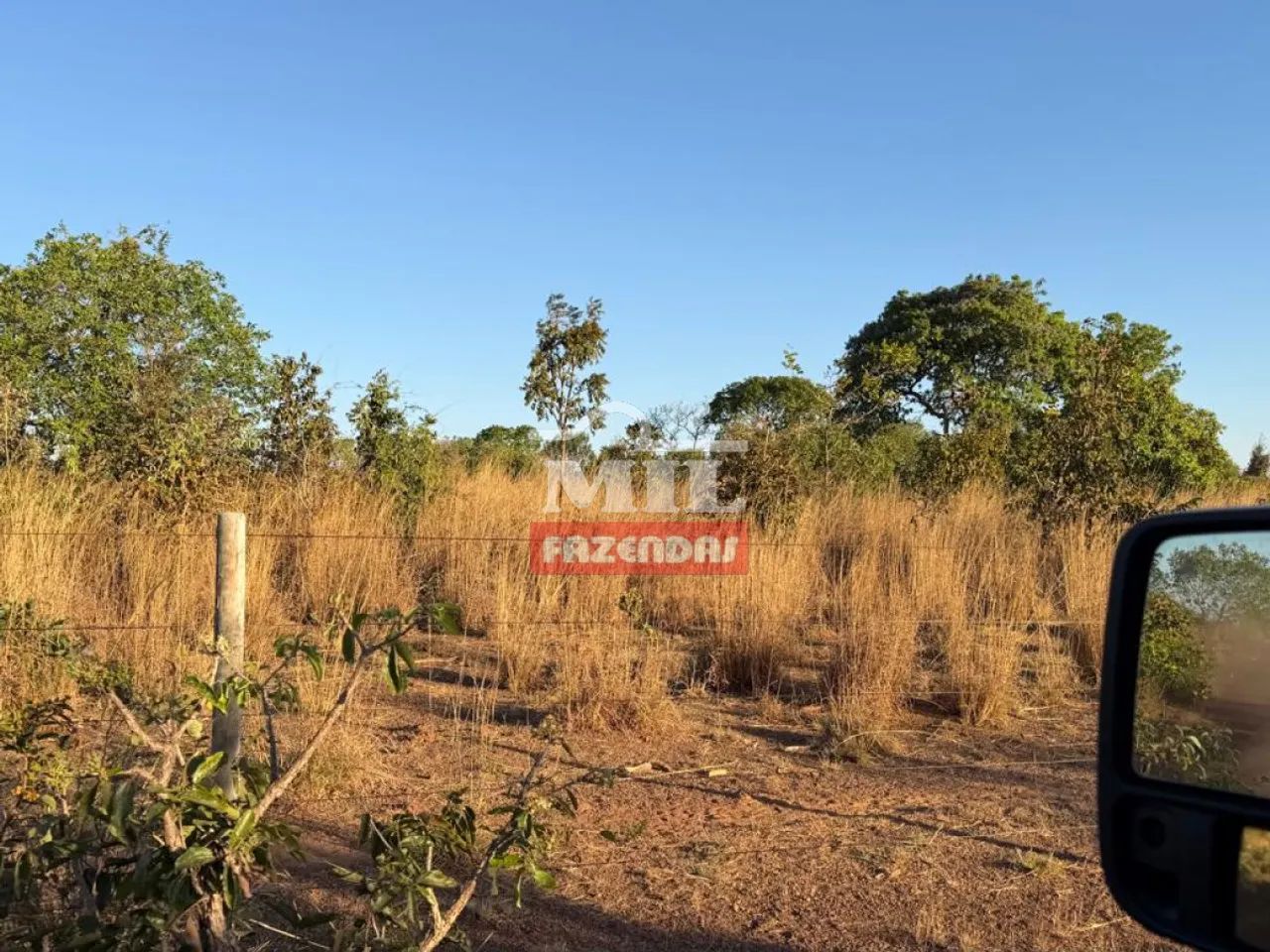 Fazenda 240 Alqueires (1.162 Hectares) Sandolândia - TO - Foto 5