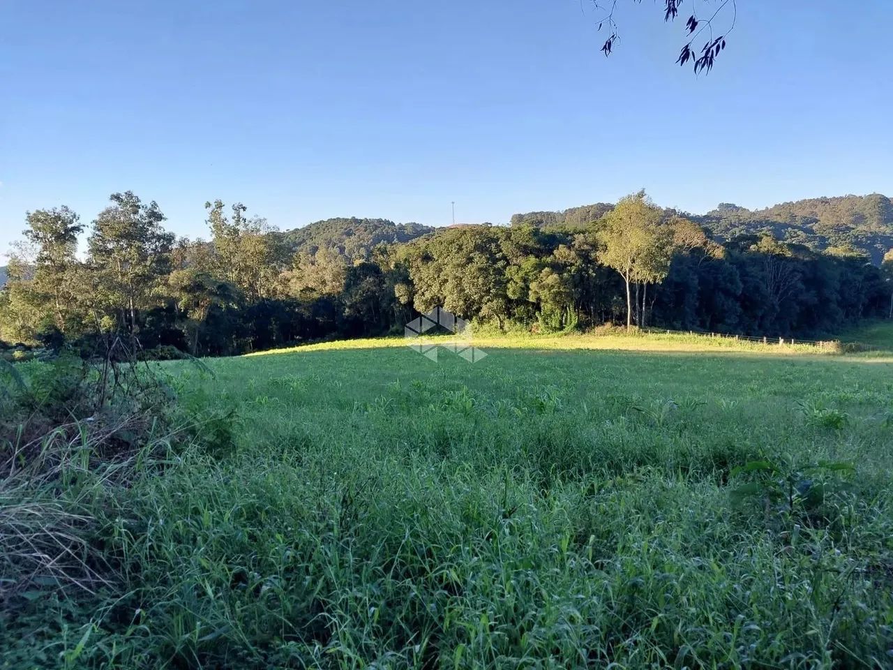 Área de terra de 02 hás agricultável - Foto 2