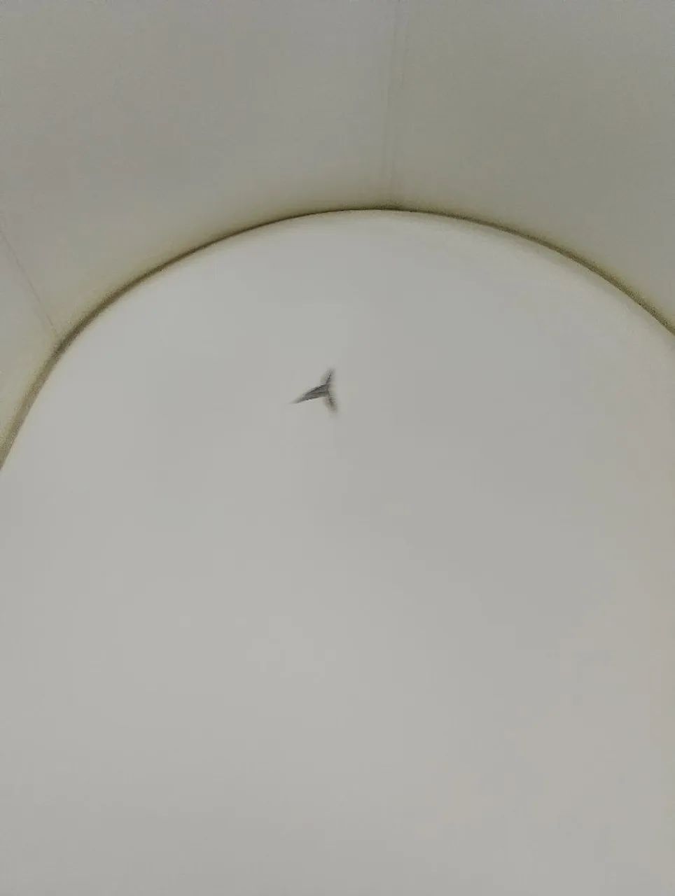 Poltrona Etna com detalhe no assento - Foto 3
