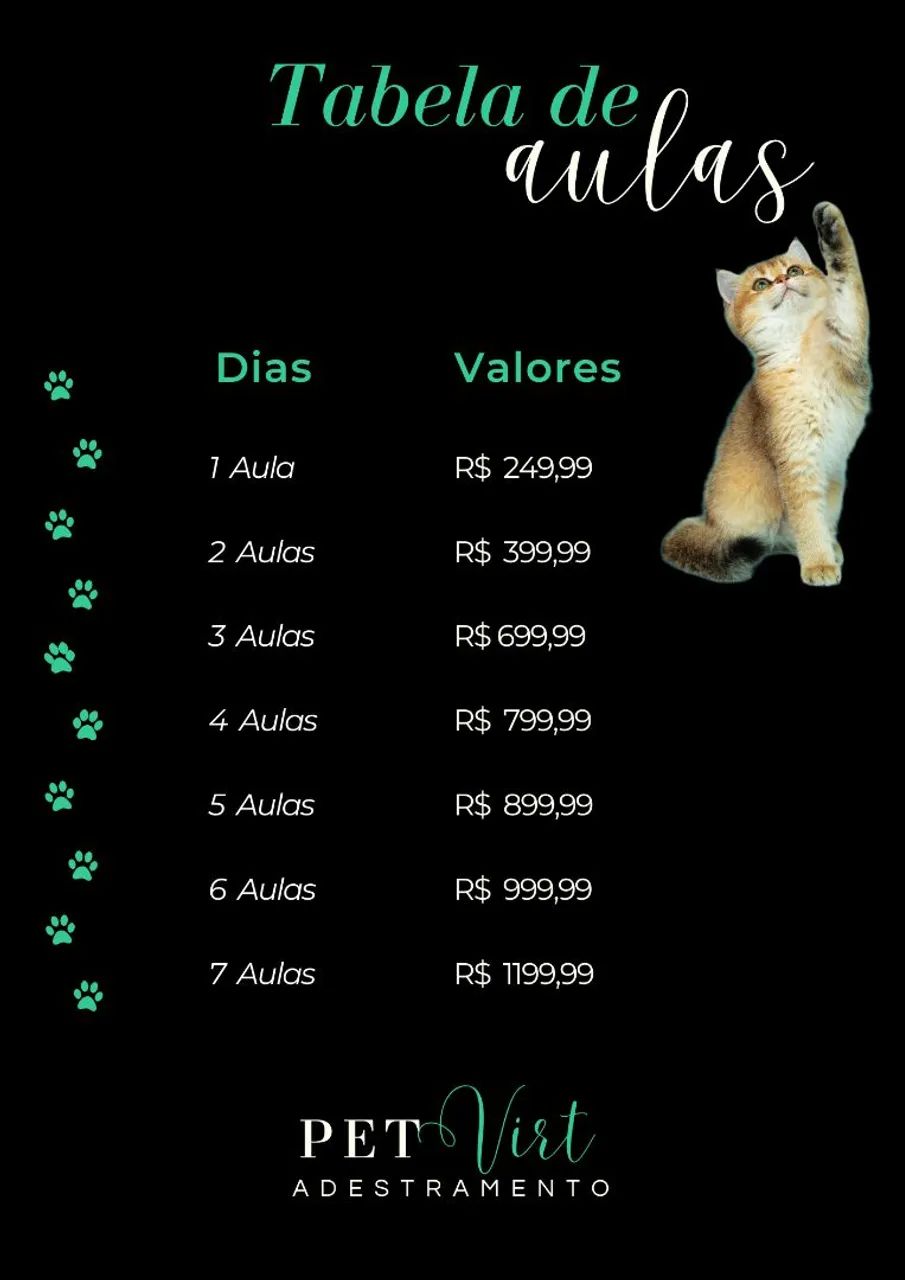 Adestramento  - Foto 3
