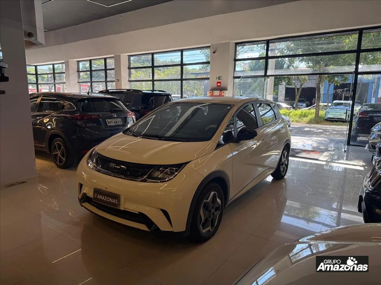 BYD Dolphin EV (Elétrico) 2024 - Foto 2