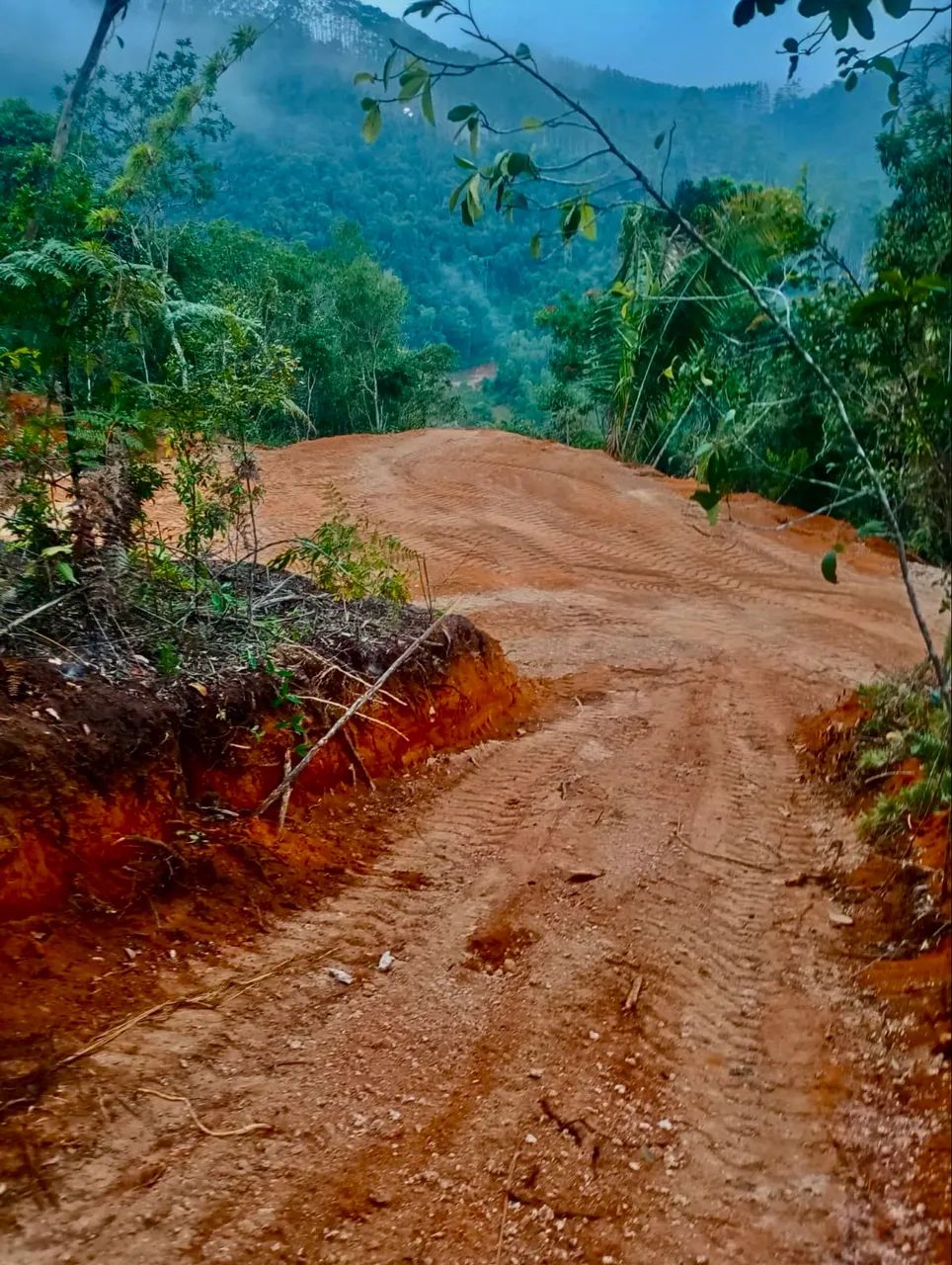 Chácaras de 10.000 m2 (OPORTUNIDADE)!! - Foto 2
