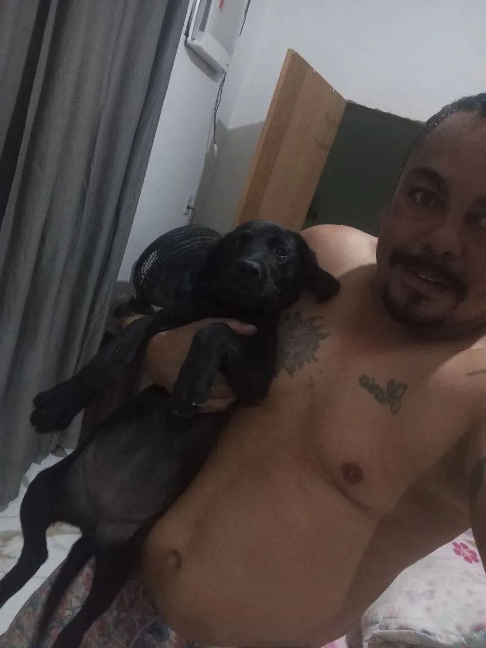 Labradora  - Foto 2