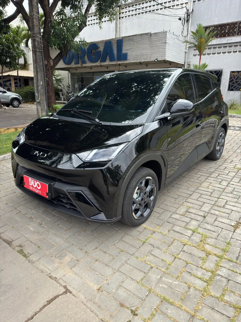 BYD Dolphin Mini (Elétrico) 2027 - Foto 2