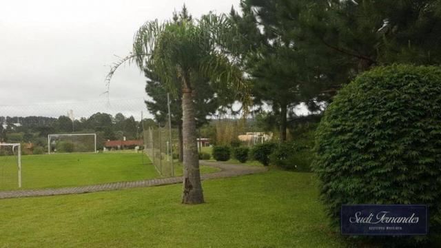 Terreno à venda, Campo Largo da Roseira, São José dos Pinhais. - Foto 5