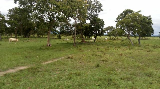 Fazenda 10 km da cidade Cuiaba - pedra 90 - Foto 10