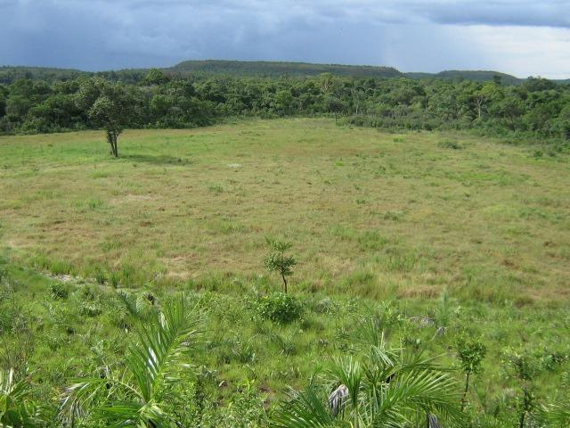 Almas-TO - Fazenda distante de Palmas 210 Km - Foto 13