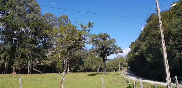 Terreno em Urubici - Foto 7