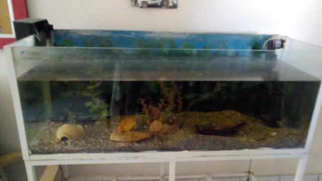 Aquário 1,35m - Foto 2