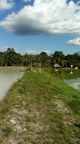 Sítio no Rio Preto da Eva - Foto 4