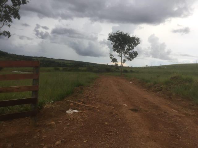 4 Alqueires c/ Rio p/ Lotear, Haras, Lazer, Gado. 40 km Anápolis-GO