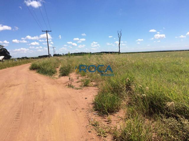 Rural - Não tem bairro - Foto 11